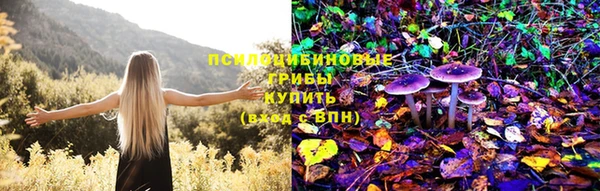 ГАЛЛЮЦИНОГЕННЫЕ ГРИБЫ Семёнов